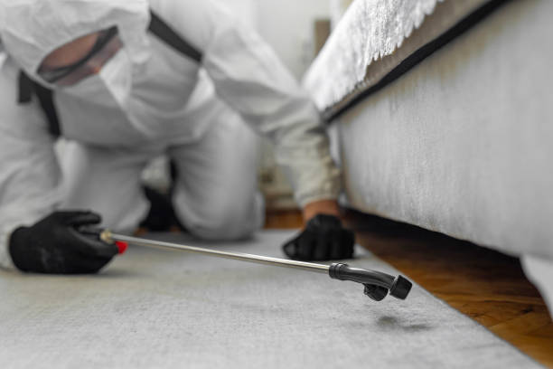Professional Termite Control technician working in Pomeroy, WA