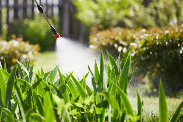 24/7 Emergency Termite Control experts in Pomeroy, WA