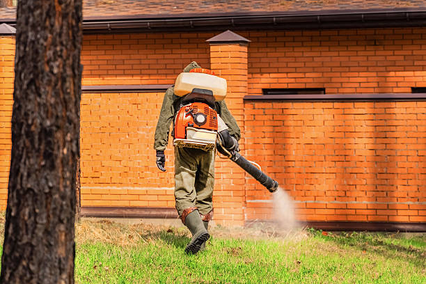 Top rated local Termite Control specialists in Pomeroy, WA